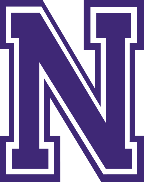 Northwestern State Demons 2000-2007 Alternate Logo t shirts iron on transfers